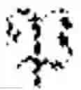 Fig. 04 - Robot globally optimal visual positioning method and device based on point-line features