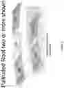 Fig. 06 - Positioning profiles for pultrusions in composite bus body
