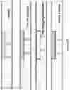 Fig. 61 - Positioning profiles for pultrusions in composite bus body