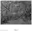 Fig. 03 - Protective fabric and protective product