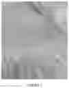 Fig. 03 - Elastic Laminate Having Increased Rugosity