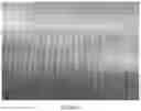 Fig. 06 - Elastic Laminate Having Increased Rugosity
