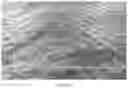 Fig. 07 - Elastic Laminate Having Increased Rugosity