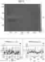 Fig. 04 - POLYMERIC FILM AND USES THEREOF