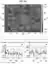 Fig. 08 - POLYMERIC FILM AND USES THEREOF