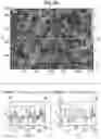 Fig. 11 - POLYMERIC FILM AND USES THEREOF