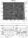 Fig. 14 - POLYMERIC FILM AND USES THEREOF