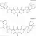 Fig. 06 - A LITHOGRAPHIC PRINTING PLATE PRECURSOR
