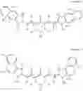 Fig. 07 - A LITHOGRAPHIC PRINTING PLATE PRECURSOR