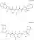 Fig. 22 - A LITHOGRAPHIC PRINTING PLATE PRECURSOR