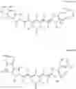 Fig. 23 - A LITHOGRAPHIC PRINTING PLATE PRECURSOR