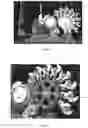 Fig. 03 - Device for printing cans, a process for printing cans, a printed can and a transfer blanket