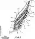 Fig. 03 - SIDEWALL CONSTRUCTION FOR A TIRE