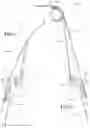Fig. 07 - Zipper less removable windows for a folding SUV soft top