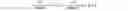 Fig. 19 - System and method for adjusting a location and distortion of an image projected onto a windshield of a vehicle by a head-up display