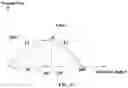 Fig. 11 - Riding lawn mower