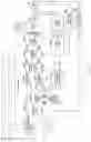 Fig. 12 - Riding lawn mower