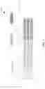 Fig. 05 - Multi-sensor life detection within vehicles
