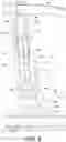 Fig. 09 - Vehicle body side structure