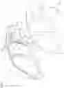Fig. 02 - Vehicle body side structure