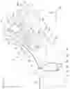 Fig. 04 - Vehicle body side structure