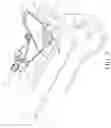 Fig. 04 - Bicycle braking and parking device