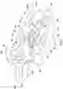Fig. 06 - Bicycle component provided with a temperature-compensated stress/strain sensor