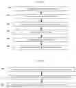 Fig. 07 - Packing cells and methods