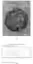 Fig. 03 - Hollow carbon sphere with multi-stage pore structure and preparation method therefor