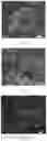 Fig. 04 - Hollow carbon sphere with multi-stage pore structure and preparation method therefor