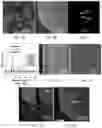 Fig. 06 - Cost effective synthesis of oxide materials for lithium ion batteries
