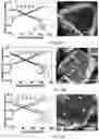 Fig. 11 - Cost effective synthesis of oxide materials for lithium ion batteries