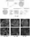 Fig. 29 - Cost effective synthesis of oxide materials for lithium ion batteries