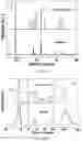 Fig. 33 - Cost effective synthesis of oxide materials for lithium ion batteries