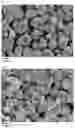 Fig. 04 - Method of producing positive electrode active material for nonaqueous electrolyte secondary battery