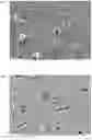 Fig. 06 - JOIN HAVING INSULATING COMPONENT WITH PARTIALLY CRYSTALLIZED GLASS
