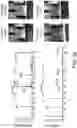 Fig. 34 - GLASS-BASED ARTICLES AND PROPERTIES THEREOF