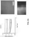 Fig. 51 - GLASS-BASED ARTICLES AND PROPERTIES THEREOF