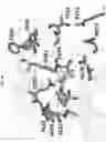 Fig. 03 - Selective JAK2 pseudokinase ligands and methods of use