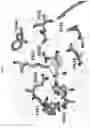Fig. 05 - Selective JAK2 pseudokinase ligands and methods of use