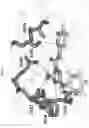 Fig. 06 - Selective JAK2 pseudokinase ligands and methods of use