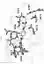 Fig. 07 - Selective JAK2 pseudokinase ligands and methods of use