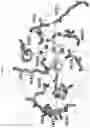 Fig. 09 - Selective JAK2 pseudokinase ligands and methods of use
