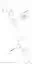 Fig. 146 - Inhibitors of RAF kinases