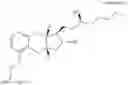 Fig. 55 - Treprostinil derivative compounds and methods of using same