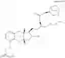 Fig. 91 - Treprostinil derivative compounds and methods of using same