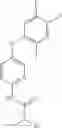 Fig. 101 - MrgX2 antagonists