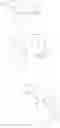 Fig. 337 - MrgX2 antagonists