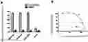Fig. 01 - Ketoamide compound and preparation method, pharmaceutical composition, and use thereof