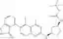 Fig. 195 - Small Molecule Modulators of RAS GTPase
